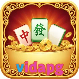 vidapg